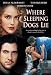 Where Sleeping Dogs Lie (Ws)