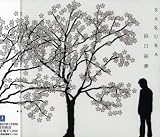 SAKURAのCDジャケット