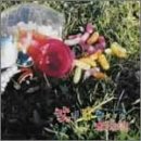 もう少しだけのCDジャケット