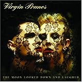 The Moon Looked Down and Laughed by Virgin Prunes