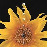 太陽のCDジャケット