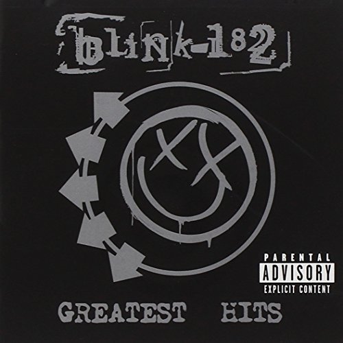 Blink-182 - Skankin