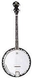 H900T - 4 String/ 30 Bracket Tenor Banjo