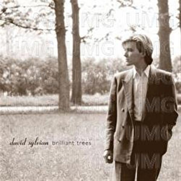 David Sylvian - Everything & Nothing - Bonus Disc - Zortam Music