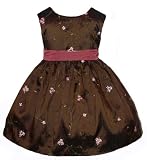 New Chocolate Brown & Pink Embroidered Dress