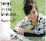 hikari��CD���㥱�å�