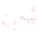 �դ����CD���㥱�å�